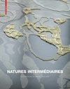 natures intermédiaires, les paysage de michel desvigne, birkhäuser, architecture, paysage, le lièvre de mars