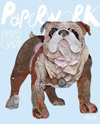paperwork, peter clark, black dog publishing, graphisme, librairie le lièvre de mars
